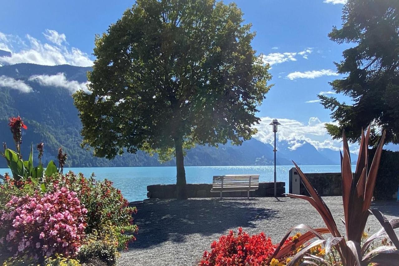 Holiday Apartments Falke Brienz  Εξωτερικό φωτογραφία